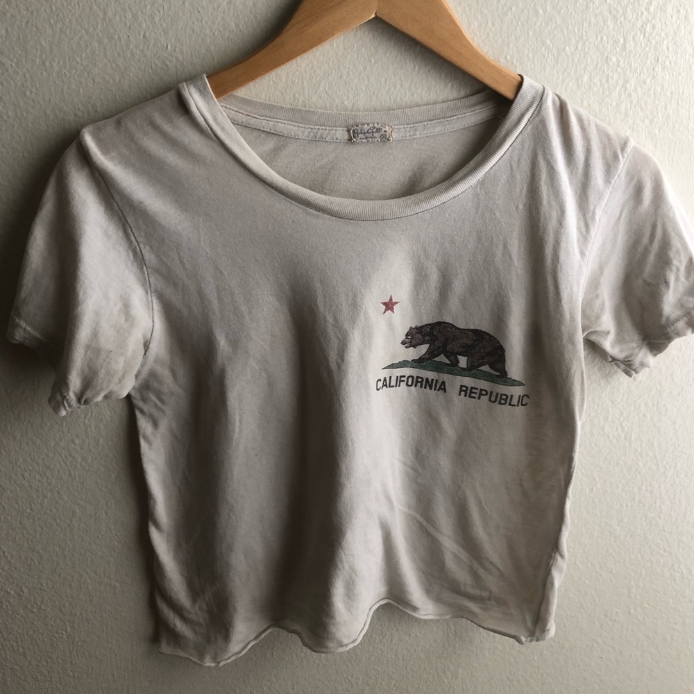 Brandy Melville Crop T-shirt